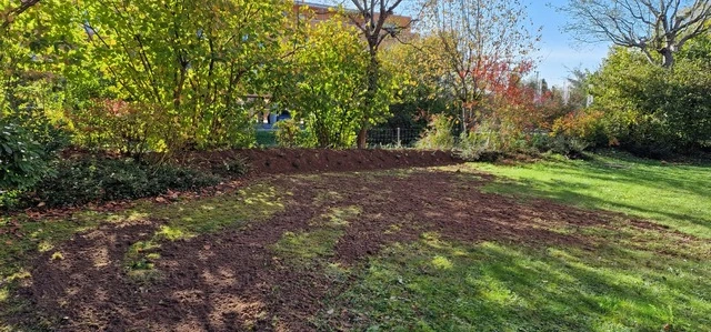 Gesunder grüner Rasen nach der Behandlung durch Fretz Gartenpflege - Erfolgsbeispiel aus Winterthur